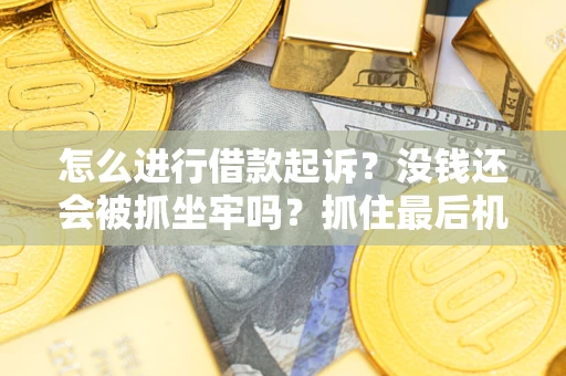 济南怎么进行借款起诉？没钱还会被抓坐牢吗？抓住最后机会！