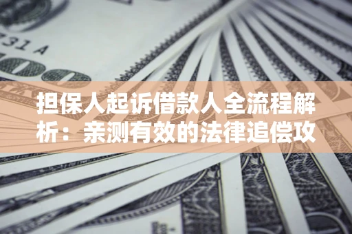 济南担保人起诉借款人全流程解析：亲测有效的法律追偿攻略