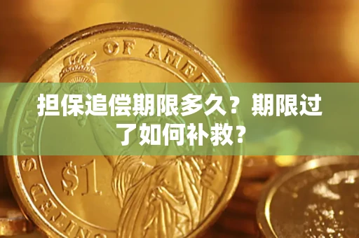 济南担保追偿期限多久？期限过了如何补救？